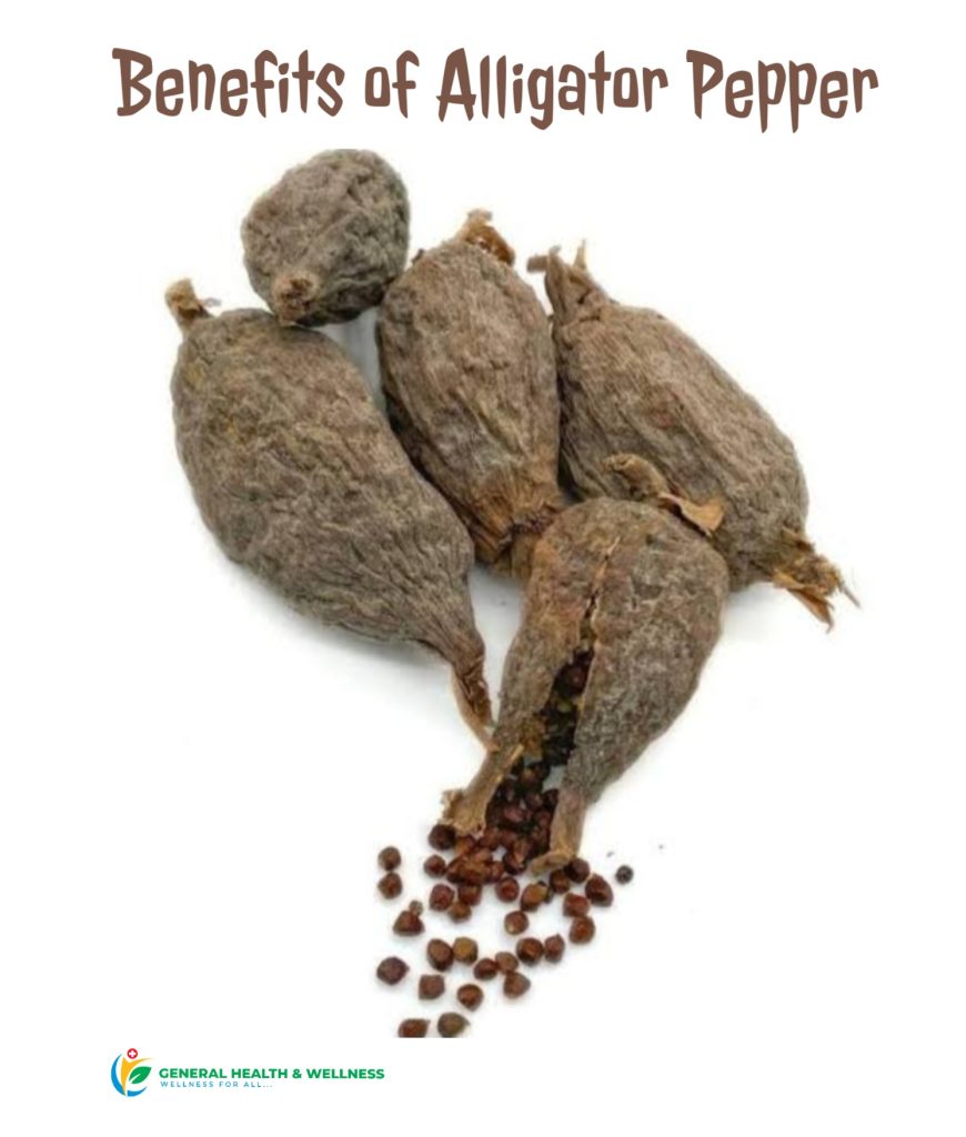 Benefits of Alligator Pepper